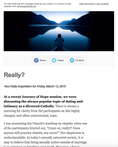 DI Email Screen Shot